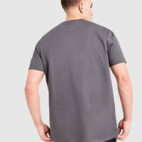 Koszulka męska MCKENZIE T-SHIRT QUARTZ mcktm17108064 kolor szary