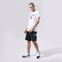 Koszulka męska NEW ERA T-SHIRT SS NBA TOP 6 BROOKLYN NETS BROOKLYN NETS WHI 11530756 kolor biały