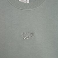 REEBOK BLUZA FRANCK rk25447mgm100117 kolor zielony