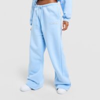 Spodnie damskie JORDAN SPODNIE W BROOKLYN FLEECE OH io1077-422 kolor niebieski
