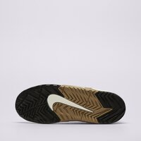 Damskie buty NIKE JAM fn0314-200 kolor brązowy