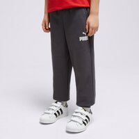 Spodnie dziecięce PUMA SPODNIE CORE PANT 67275617 kolor szary