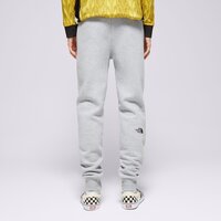 Spodnie męskie THE NORTH FACE SPODNIE FINE BOX PANT GYM pant2 kolor szary