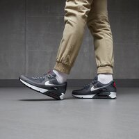 Męskie buty NIKE AIR MAX 90  dr0145-003 kolor szary