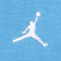 JORDAN BLUZA Z KAPTUREM M J BRKLN FLC PO fv7281-469 kolor niebieski