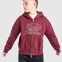 Bluza dziecięca UNLIKE HUMANS BLUZA ROZPINANA Z KAPTUREM INTER ulhtjb10373660 kolor bordowy