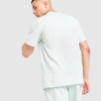 Koszulka męska THE NORTH FACE T-SHIRT SMALL BOX REGULAR nf0a8nfcn3w1 kolor zielony