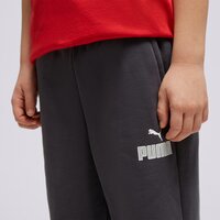 Spodnie dziecięce PUMA SPODNIE CORE PANT 67275617 kolor szary