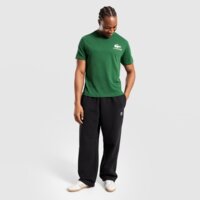 Koszulka męska LACOSTE T-SHIRT URBAN th5517132 kolor zielony