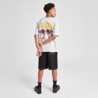 Koszulka dziecięca SUPPLY&DEMAND T-SHIRT CATCHER B suptjb17710020 kolor szary