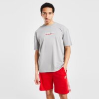 Koszulka męska MCKENZIE T-SHIRT MERCURY TEE GRY mcktm16579160 kolor szary