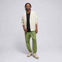 Spodnie męskie JORDAN SPODNIE M J ESS FLC fj7779-340 kolor khaki