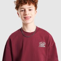 Koszulka dziecięca UNLIKE HUMANS T-SHIRT INTER TEE DROPPED SHOULDER ulhtjb10368660 kolor bordowy