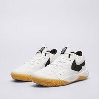Męskie buty NIKE HYPERQUICK  fn4678-100 kolor biały