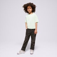 Koszulka dziecięca JORDAN T-SHIRT JORDAN ESSENTIALS TEE GIRL 45a770-e2e kolor zielony
