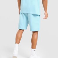 Męskie spodenki MCKENZIE SZORTY FLEECE TYPE mcktm17159576 kolor niebieski