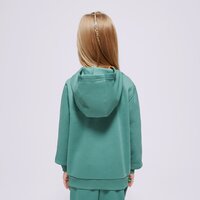 Bluza dziecięca NIKE BLUZA Z KAPTUREM SPORTSWEAR CLUB FLEECE BOY fd3000-361 kolor zielony