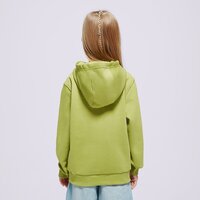 Bluza dziecięca NIKE BLUZA K NSW CLUB FLC HDY LBR BOY fd3000-377 kolor zielony