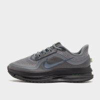 Męskie buty do biegania NIKE PEGASUS PREMIUM hq2592-012 kolor szary