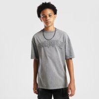 Koszulka dziecięca SUPPLY&DEMAND T-SHIRT DAR TEE suptjb17931171 kolor szary