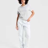 Spodnie damskie JORDAN SPODNIE W BROOKLYN FLEECE  fv7077-043 kolor szary