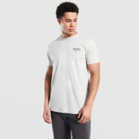 Koszulka męska MCKENZIE T-SHIRT STACK TEE GRY-HIR mcktm17077020 kolor szary