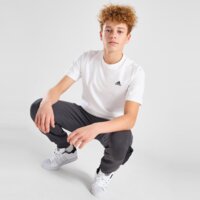 Koszulka dziecięca ADIDAS T-SHIRT CORE LGO T WHT B ib4093 kolor biały