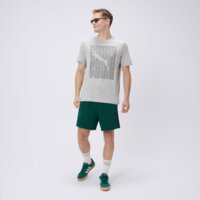 Koszulka męska PUMA T-SHIRT GRAPHICS PUMA WORDING 68482504 kolor szary