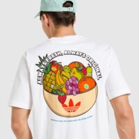Koszulka męska ADIDAS T-SHIRT GRAPHIC LO SS T jw2975 kolor biały