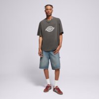 Koszulka męska DICKIES T-SHIRT PLAINVILLE SS TEE dk0a88gnblk1 kolor szary