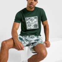 Koszulka męska MCKENZIE T-SHIRT COAST mcktm16824524 kolor zielony