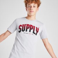 Koszulka dziecięca SUPPLY&DEMAND T-SHIRT ZUNI suptjb17350057 kolor szary