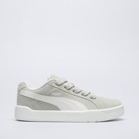 Męskie buty PUMA PARK LIFESTYLE EASY SD 40070702 kolor szary