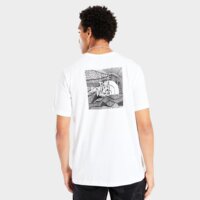 Koszulka męska THE NORTH FACE T-SHIRT M SS BOX NSE CEL TEE nf0a87nvfn41 kolor biały