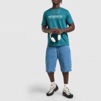 Koszulka męska MCKENZIE T-SHIRT SILICA mcktm17151949 kolor zielony