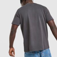 Koszulka męska MCKENZIE T-SHIRT LEVY mcktm17219064 kolor szary