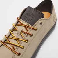 Męskie buty TIMBERLAND ADV 2.0 CUPSOLE MODERN OX tb0a5tewdh41 kolor brązowy