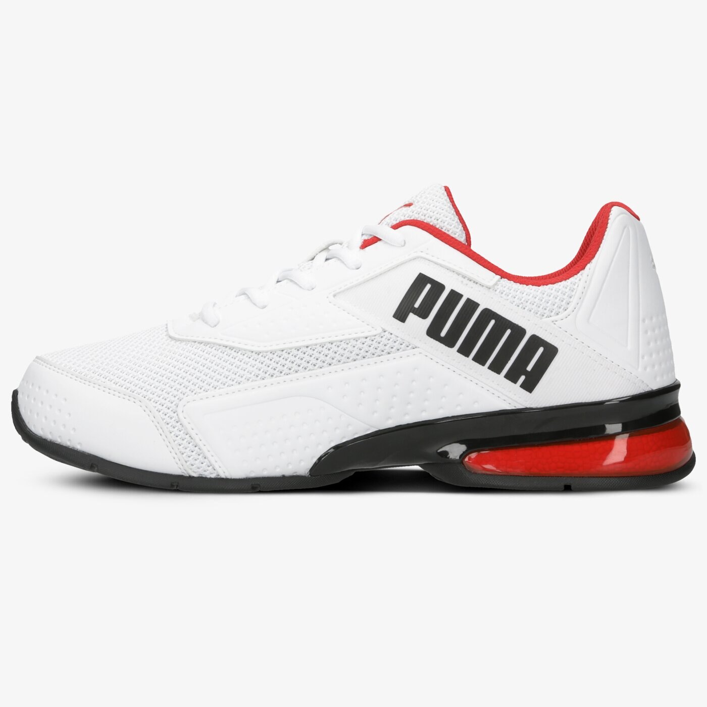 be bold puma