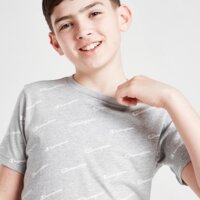 Koszulka dziecięca CHAMPION T-SHIRT ALL OVER PRINT 305875el002 kolor szary