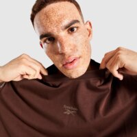 Koszulka męska REEBOK T-SHIRT DANNY VARSITY 100240565 kolor brązowy