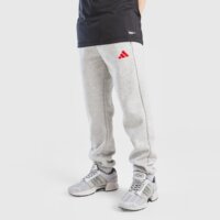 Spodnie dziecięce ADIDAS SPODNIE JB FLEECE kc8854 kolor szary