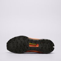 Męskie buty outdoor ADIDAS TERREX AX4 GTX ig6579 kolor szary