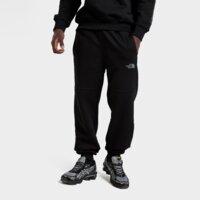 Spodnie męskie THE NORTH FACE SPODNIE OUTLINE PNT BLK nf0a8gdyjk31 kolor czarny