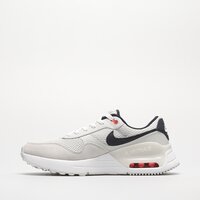 Męskie buty NIKE AIR MAX SYSTM dm9537-013 kolor szary