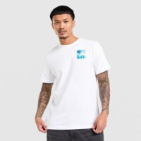 Koszulka męska THE NORTH FACE T-SHIRT REGULAR PHOTO MIX RAIN nf0a8hd9fn41 kolor biały