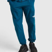 Spodnie męskie THE NORTH FACE SPODNIE PERF PANT MID.PET nf0a8ajr1no1 kolor zielony