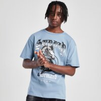 Koszulka dziecięca SUPPLY&DEMAND T-SHIRT DRAGON TEE suptjb17511640 kolor niebieski