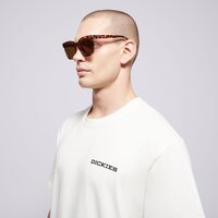 Koszulka męska DICKIES T-SHIRT LANDASCAPE SS TEE dk0a4z8vc481 kolor biały