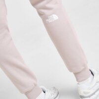 Spodnie damskie THE NORTH FACE SPODNIE JOGGER OUTLINE nf0a8aj41oa1 kolor szary