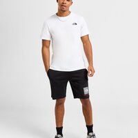 Koszulka męska THE NORTH FACE T-SHIRT MOUNT SHADE T WH/GY nf0a899nfn41 kolor biały